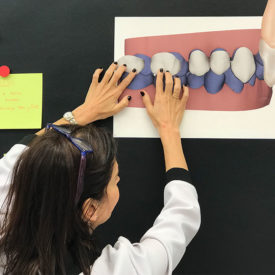 CURSO CERTIFICACIÓN INVISALIGN – CRISTINA VIYUELA